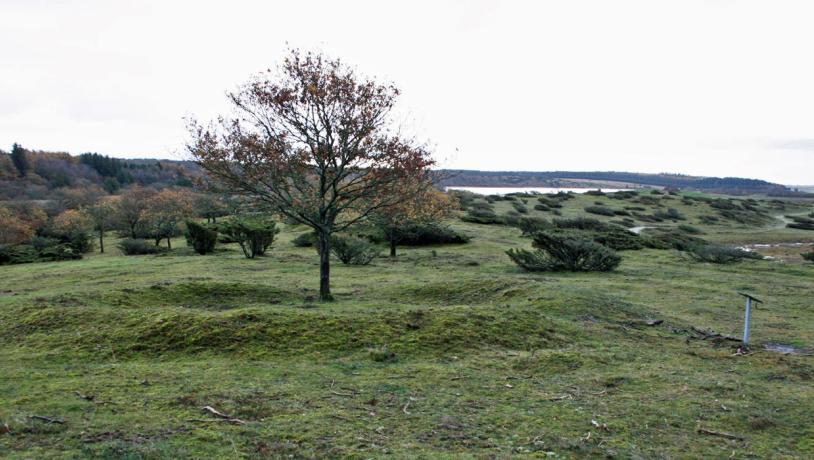 Stubber Kloster - Flynder sø