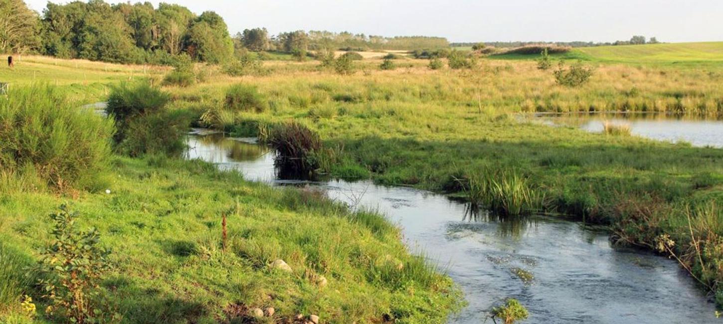 Idom Å - Omstrup Hede