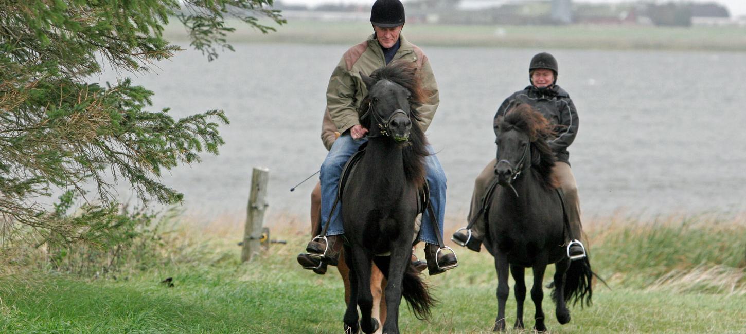 Horse Back Riding GeoparkVestjylland