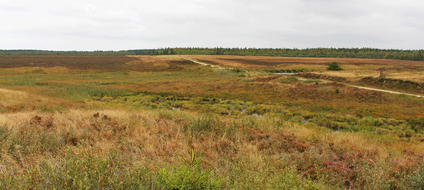 Klosterhede-Kronhede